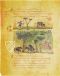 Treatise on Hunting and Fishing - Oppiano, Cynegetica – Patrimonio Ediciones – Cod. Gr. Z. 479 (=881) – Biblioteca Nazionale Marciana (Venice, Italy)