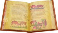 Treatise on Hunting and Fishing – Patrimonio Ediciones – Cod. Gr. Z. 479 (=881) – Biblioteca Nazionale Marciana (Venice, Italy)