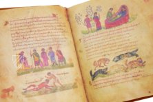 Treatise on Hunting and Fishing – Patrimonio Ediciones – Cod. Gr. Z. 479 (=881) – Biblioteca Nazionale Marciana (Venice, Italy)