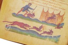 Treatise on Hunting and Fishing – Patrimonio Ediciones – Cod. Gr. Z. 479 (=881) – Biblioteca Nazionale Marciana (Venice, Italy)