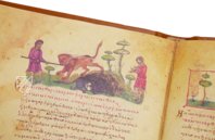 Treatise on Hunting and Fishing – Patrimonio Ediciones – Cod. Gr. Z. 479 (=881) – Biblioteca Nazionale Marciana (Venice, Italy)