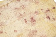 Trial Against the Templars – Scrinium – ASV A.A. Arm. 208, 209, 210 and 217 – Archivum Secretum Vaticanum (Vatican City, Vatican City State)