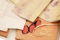 Trial Against the Templars – Scrinium – ASV A.A. Arm. 208, 209, 210 and 217 – Archivum Secretum Vaticanum (Vatican City, Vatican City State)