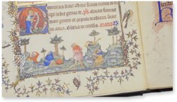 Turin-Milan Hours – Faksimile Verlag – Inv.No. 47 – Museo Civico d'Arte Antica (Turin, Italy)