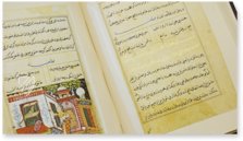 Tuti-Nama – Akademische Druck- u. Verlagsanstalt (ADEVA) – Cleveland Museum of Art (Cleveland, USA)