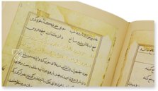 Tuti-Nama – Akademische Druck- u. Verlagsanstalt (ADEVA) – Cleveland Museum of Art (Cleveland, USA)