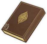 Tuti-Nama – Akademische Druck- u. Verlagsanstalt (ADEVA) – Cleveland Museum of Art (Cleveland, USA)