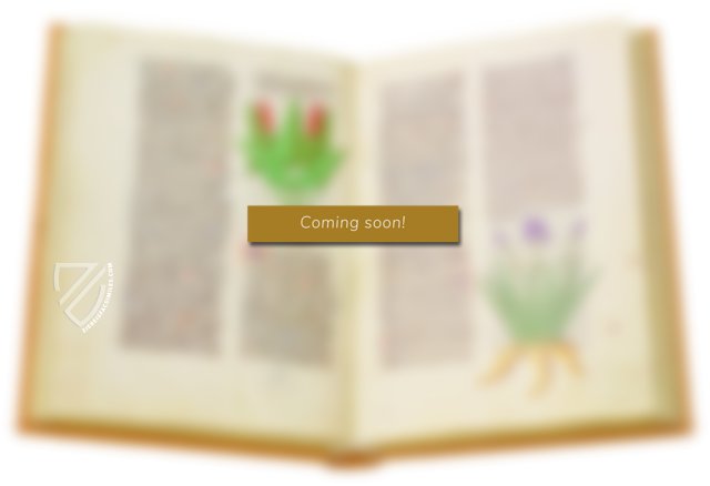 Two East Anglian Picture Books: Helmingham Herbal and Bestiary and Bodleian Ms. Ashmole 1504