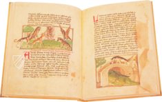 Udine Aesop – Casamassima Libri – Cod. Bartolini 83 (olim 34) – Biblioteca Arcivescovile e Bartoliniana (Udine, Italy) Udine Aesop – Casamassima Libri – Cod. Bartolini 83 (olim 34) – Biblioteca Arcivescovile e Bartoliniana (Udine, Italy)