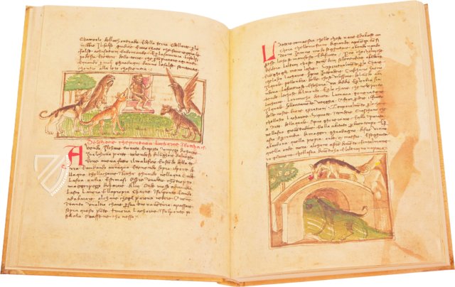 Udine Aesop – Casamassima Libri – Cod. Bartolini 83 (olim 34) – Biblioteca Arcivescovile e Bartoliniana (Udine, Italy) Udine Aesop – Casamassima Libri – Cod. Bartolini 83 (olim 34) – Biblioteca Arcivescovile e Bartoliniana (Udine, Italy)