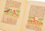 Udine Aesop – Casamassima Libri – Cod. Bartolini 83 (olim 34) – Biblioteca Arcivescovile e Bartoliniana (Udine, Italy) Udine Aesop – Casamassima Libri – Cod. Bartolini 83 (olim 34) – Biblioteca Arcivescovile e Bartoliniana (Udine, Italy)