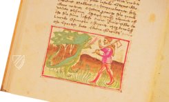 Udine Aesop – Casamassima Libri – Cod. Bartolini 83 (olim 34) – Biblioteca Arcivescovile e Bartoliniana (Udine, Italy) Udine Aesop – Casamassima Libri – Cod. Bartolini 83 (olim 34) – Biblioteca Arcivescovile e Bartoliniana (Udine, Italy)