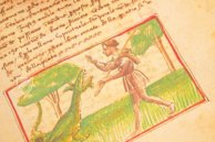 Udine Aesop – Casamassima Libri – Cod. Bartolini 83 (olim 34) – Biblioteca Arcivescovile e Bartoliniana (Udine, Italy) Udine Aesop – Casamassima Libri – Cod. Bartolini 83 (olim 34) – Biblioteca Arcivescovile e Bartoliniana (Udine, Italy)