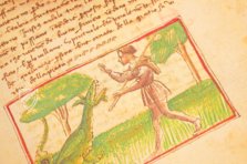 Udine Aesop – Casamassima Libri – Cod. Bartolini 83 (olim 34) – Biblioteca Arcivescovile e Bartoliniana (Udine, Italy) Udine Aesop – Casamassima Libri – Cod. Bartolini 83 (olim 34) – Biblioteca Arcivescovile e Bartoliniana (Udine, Italy)