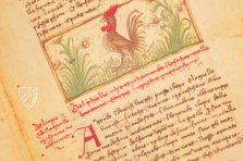 Udine Aesop – Casamassima Libri – Cod. Bartolini 83 (olim 34) – Biblioteca Arcivescovile e Bartoliniana (Udine, Italy) Udine Aesop – Casamassima Libri – Cod. Bartolini 83 (olim 34) – Biblioteca Arcivescovile e Bartoliniana (Udine, Italy)