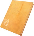 Udine Aesop – Casamassima Libri – Cod. Bartolini 83 (olim 34) – Biblioteca Arcivescovile e Bartoliniana (Udine, Italy) Udine Aesop – Casamassima Libri – Cod. Bartolini 83 (olim 34) – Biblioteca Arcivescovile e Bartoliniana (Udine, Italy)