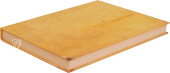 Udine Aesop – Casamassima Libri – Cod. Bartolini 83 (olim 34) – Biblioteca Arcivescovile e Bartoliniana (Udine, Italy) Udine Aesop – Casamassima Libri – Cod. Bartolini 83 (olim 34) – Biblioteca Arcivescovile e Bartoliniana (Udine, Italy)