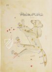 Ulugh Beg's Book of the Constellations – Müller & Schindler  – MS Arabe 5036 – Bibliothèque nationale de France (Paris, France)