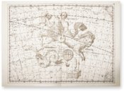 Uranographia – Orbis Pictus – Biblioteka Uniwersytecka Mikołaj Kopernik w Toruniu (Toruń, Poland)