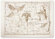Uranographia – Orbis Pictus – Biblioteka Uniwersytecka Mikołaj Kopernik w Toruniu (Toruń, Poland)
