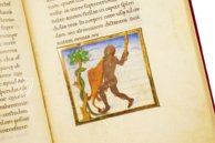 Vatican Aratea – Müller & Schindler – MS Barb. lat. 76 – Biblioteca Apostolica Vaticana (Vatican City, Vatican City State) Vatican Aratea – Müller & Schindler – MS Barb. lat. 76 – Biblioteca Apostolica Vaticana (Vatican City, Vatican City State)