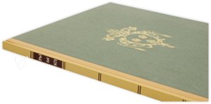 Vatican Biblia Pauperum – Belser Verlag – Pal. lat. 871 – Biblioteca Apostolica Vaticana (Vatican City, Vatican City State)