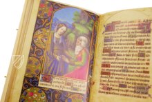 Vatican Book of Hours from the Circle of Jean Bourdichon – Belser Verlag – Vat. lat. 3781 – Biblioteca Apostolica Vaticana (Vatican City, State of the Vatican City)