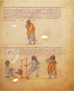 Vatican Terence – Belser Verlag – Vat. Lat. 3868 – Biblioteca Apostolica Vaticana (Vatican City, Vatican City State)