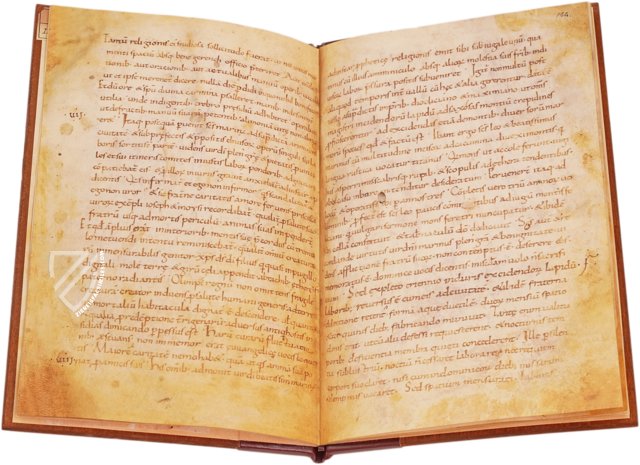 Vita Sanctorum Marini et Leonis – Imago – Ms. F.III.16 – Biblioteca Nazionale Universitaria di Torino (Turin, Italy)