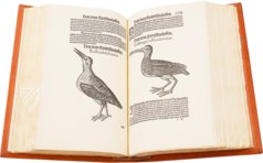 Vogelbuch. Faksimile nach der Ausgabe bei Froschauer, Zürich 1557. (Luxury Edition)