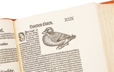 Vogelbuch. Faksimile nach der Ausgabe bei Froschauer, Zürich 1557. (Luxury Edition)