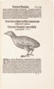 Vogelbuch. Faksimile nach der Ausgabe bei Froschauer, Zürich 1557. (Luxury Edition)