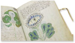 Voynich Manuscript – Siloé, arte y bibliofilia – MS 408 – Beinecke Rare Book and Manuscript Library (New Haven, USA)