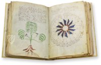 Voynich Manuscript – Siloé, arte y bibliofilia – MS 408 – Beinecke Rare Book and Manuscript Library (New Haven, USA)