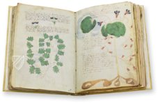 Voynich Manuscript – Siloé, arte y bibliofilia – MS 408 – Beinecke Rare Book and Manuscript Library (New Haven, USA)