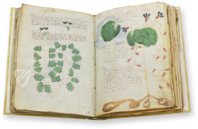 Voynich Manuscript – Siloé, arte y bibliofilia – MS 408 – Beinecke Rare Book and Manuscript Library (New Haven, USA)