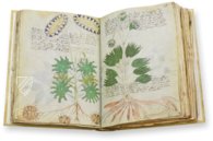 Voynich Manuscript – Siloé, arte y bibliofilia – MS 408 – Beinecke Rare Book and Manuscript Library (New Haven, USA)