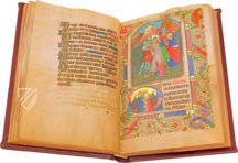 Walters Book of Hours W.173 – Imago – W.173 – Walters Art Museum (Baltimore, USA)