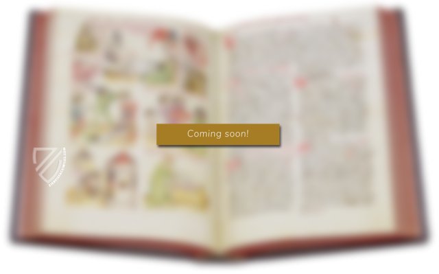 Welsche Gast. Faksimile des Codex Palatinus Germanicus 389 der Universitätsbibiothek Heidelberg