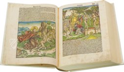 Weltchronik - The Chronicles of Nuremberg – Il Bulino, edizioni d'arte – Inc 122 – Herzogin Anna Amalia Bibliothek (Weimar, Germany)