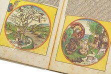 Weltchronik - The Chronicles of Nuremberg – Il Bulino, edizioni d'arte – Inc 122 – Herzogin Anna Amalia Bibliothek (Weimar, Germany)