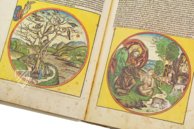 Weltchronik - The Chronicles of Nuremberg – Il Bulino, edizioni d'arte – Inc 122 – Herzogin Anna Amalia Bibliothek (Weimar, Germany)