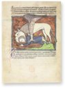 Westminster Abbey Bestiary – Ms. 22 – Westminster Abbey Library (London, United Kingdom) Facsimile Edition