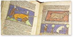 Westminster Abbey Bestiary – Siloé, arte y bibliofilia – Ms. 22 – Westminster Abbey Library (London, United Kingdom)