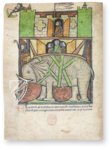 Westminster Abbey Bestiary – Siloé, arte y bibliofilia – Ms. 22 – Westminster Abbey Library (London, United Kingdom)