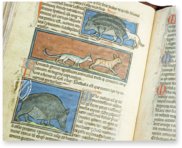 Westminster Abbey Bestiary – Siloé, arte y bibliofilia – Ms. 22 – Westminster Abbey Library (London, United Kingdom)