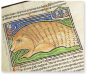 Westminster Abbey Bestiary – Siloé, arte y bibliofilia – Ms. 22 – Westminster Abbey Library (London, United Kingdom)