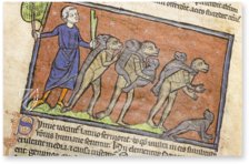 Westminster Abbey Bestiary – Siloé, arte y bibliofilia – Ms. 22 – Westminster Abbey Library (London, United Kingdom)