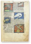 Westminster Abbey Bestiary – Siloé, arte y bibliofilia – Ms. 22 – Westminster Abbey Library (London, United Kingdom)