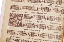 William Byrd: Masses for 3, 4 and 5 Voices – DIAMM – Mus. 489-493 – Christ Church Library (Oxford, United Kingdom)